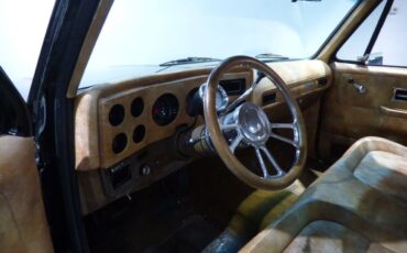 Chevrolet-Other-Pickups-1975-Pickup-Truck-18