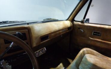 Chevrolet-Other-Pickups-1975-Pickup-Truck-19