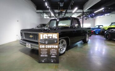 Chevrolet-Other-Pickups-1975-Pickup-Truck-2