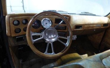 Chevrolet-Other-Pickups-1975-Pickup-Truck-20