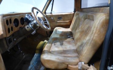 Chevrolet-Other-Pickups-1975-Pickup-Truck-21