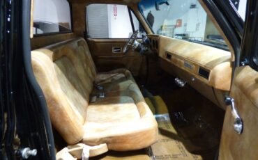 Chevrolet-Other-Pickups-1975-Pickup-Truck-22