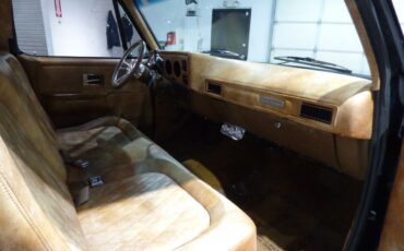 Chevrolet-Other-Pickups-1975-Pickup-Truck-23