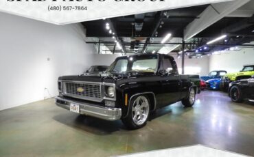 Chevrolet-Other-Pickups-1975-Pickup-Truck