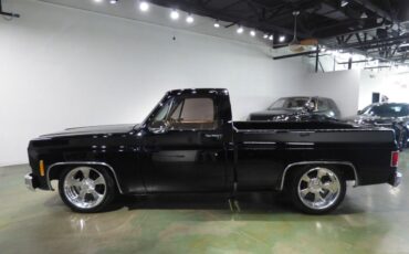 Chevrolet-Other-Pickups-1975-Pickup-Truck-4