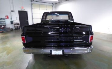 Chevrolet-Other-Pickups-1975-Pickup-Truck-7