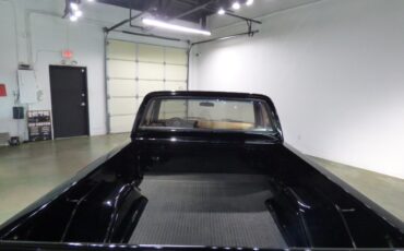 Chevrolet-Other-Pickups-1975-Pickup-Truck-8