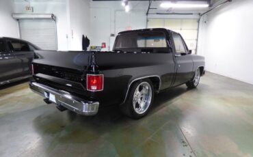 Chevrolet-Other-Pickups-1975-Pickup-Truck-9