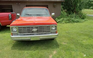 Chevrolet-Other-Pickups-1976-Standard-Cab-Pickup-1