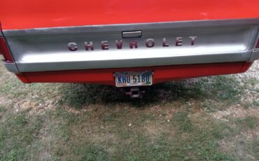 Chevrolet-Other-Pickups-1976-Standard-Cab-Pickup-2