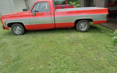 Chevrolet Other Pickups 1976 Standard Cab Pickup