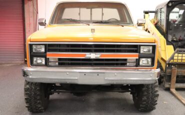 Chevrolet-Other-Pickups-1978-Standard-Cab-Pickup-1