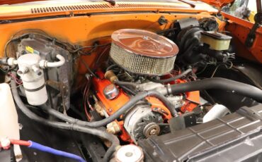 Chevrolet-Other-Pickups-1978-Standard-Cab-Pickup-15