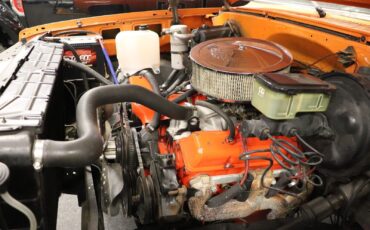 Chevrolet-Other-Pickups-1978-Standard-Cab-Pickup-16