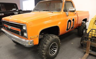Chevrolet-Other-Pickups-1978-Standard-Cab-Pickup-2