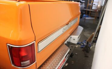 Chevrolet-Other-Pickups-1978-Standard-Cab-Pickup-7