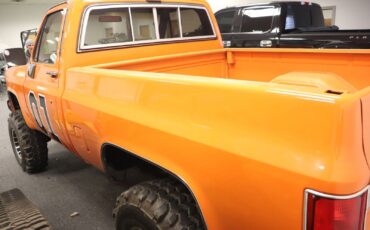 Chevrolet-Other-Pickups-1978-Standard-Cab-Pickup-8