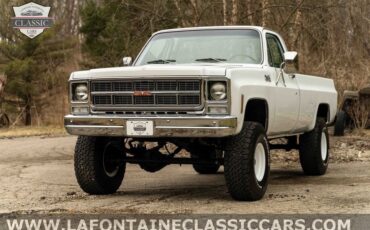 Chevrolet-Other-Pickups-1979-12