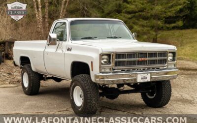 Chevrolet Other Pickups 1979 --