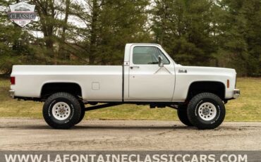 Chevrolet-Other-Pickups-1979-5