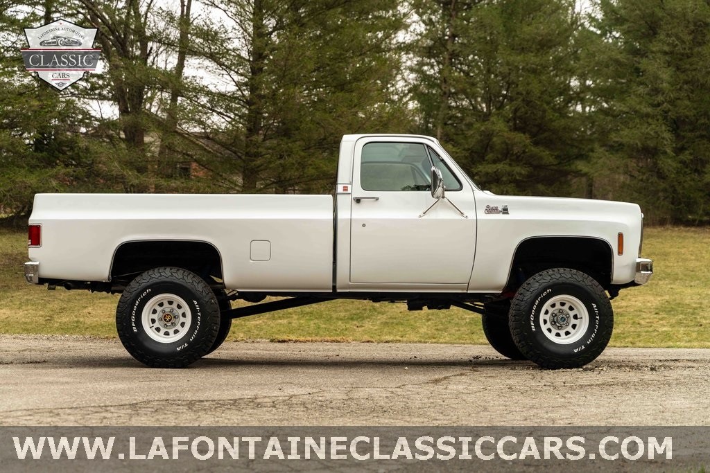 Chevrolet-Other-Pickups-1979-5