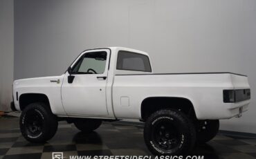 Chevrolet-Other-Pickups-1979-Pickup-Truck-10