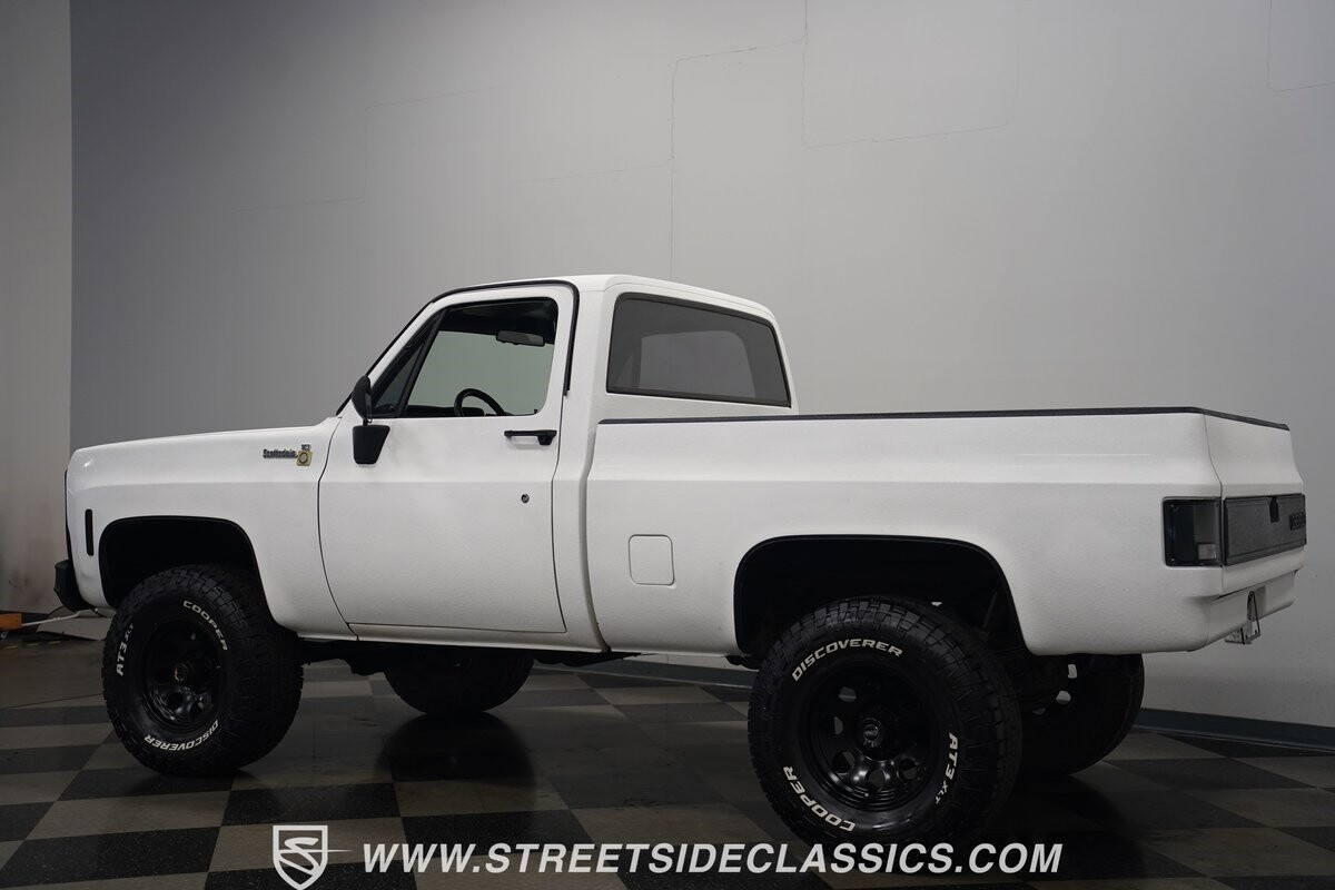 Chevrolet-Other-Pickups-1979-Pickup-Truck-10