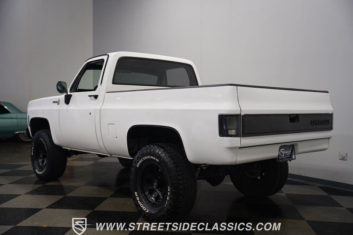 Chevrolet-Other-Pickups-1979-Pickup-Truck-11