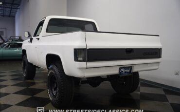 Chevrolet-Other-Pickups-1979-Pickup-Truck-12