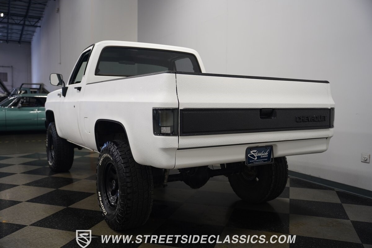 Chevrolet-Other-Pickups-1979-Pickup-Truck-12