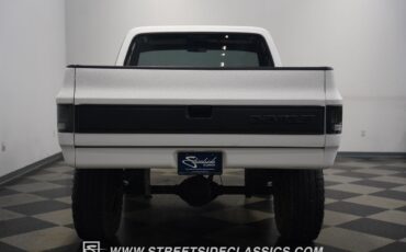 Chevrolet-Other-Pickups-1979-Pickup-Truck-13