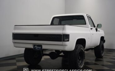 Chevrolet-Other-Pickups-1979-Pickup-Truck-14