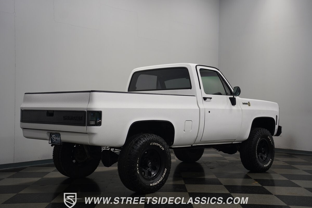 Chevrolet-Other-Pickups-1979-Pickup-Truck-15