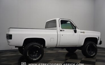 Chevrolet-Other-Pickups-1979-Pickup-Truck-16
