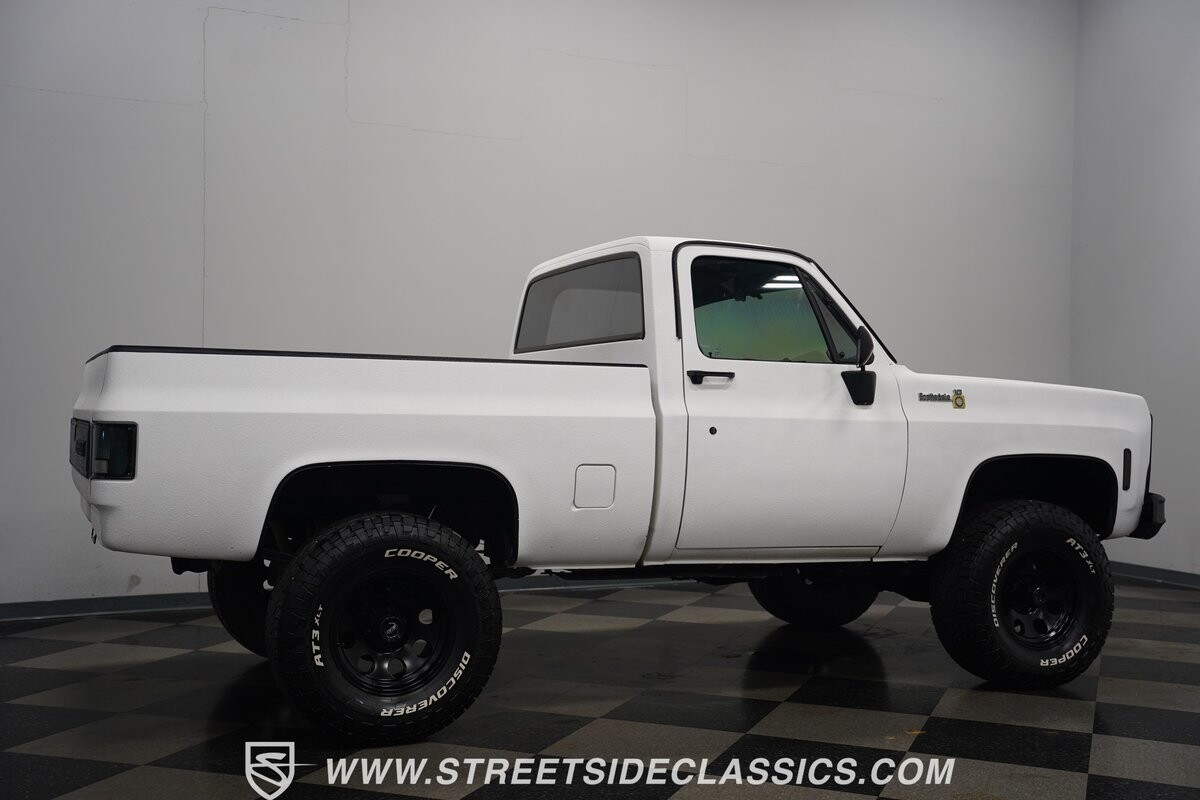 Chevrolet-Other-Pickups-1979-Pickup-Truck-16