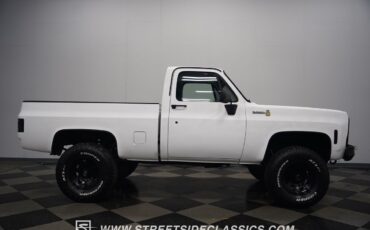 Chevrolet-Other-Pickups-1979-Pickup-Truck-17