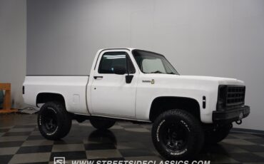 Chevrolet-Other-Pickups-1979-Pickup-Truck-18