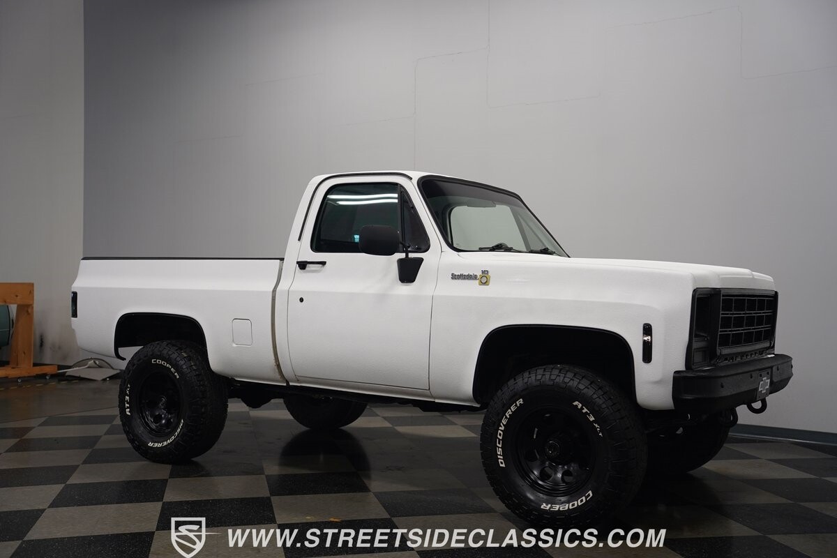 Chevrolet-Other-Pickups-1979-Pickup-Truck-18