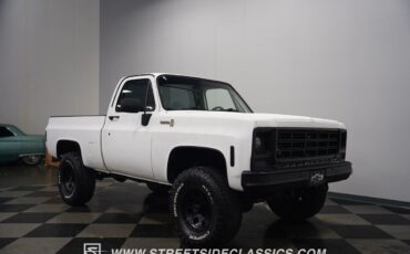 Chevrolet-Other-Pickups-1979-Pickup-Truck-19