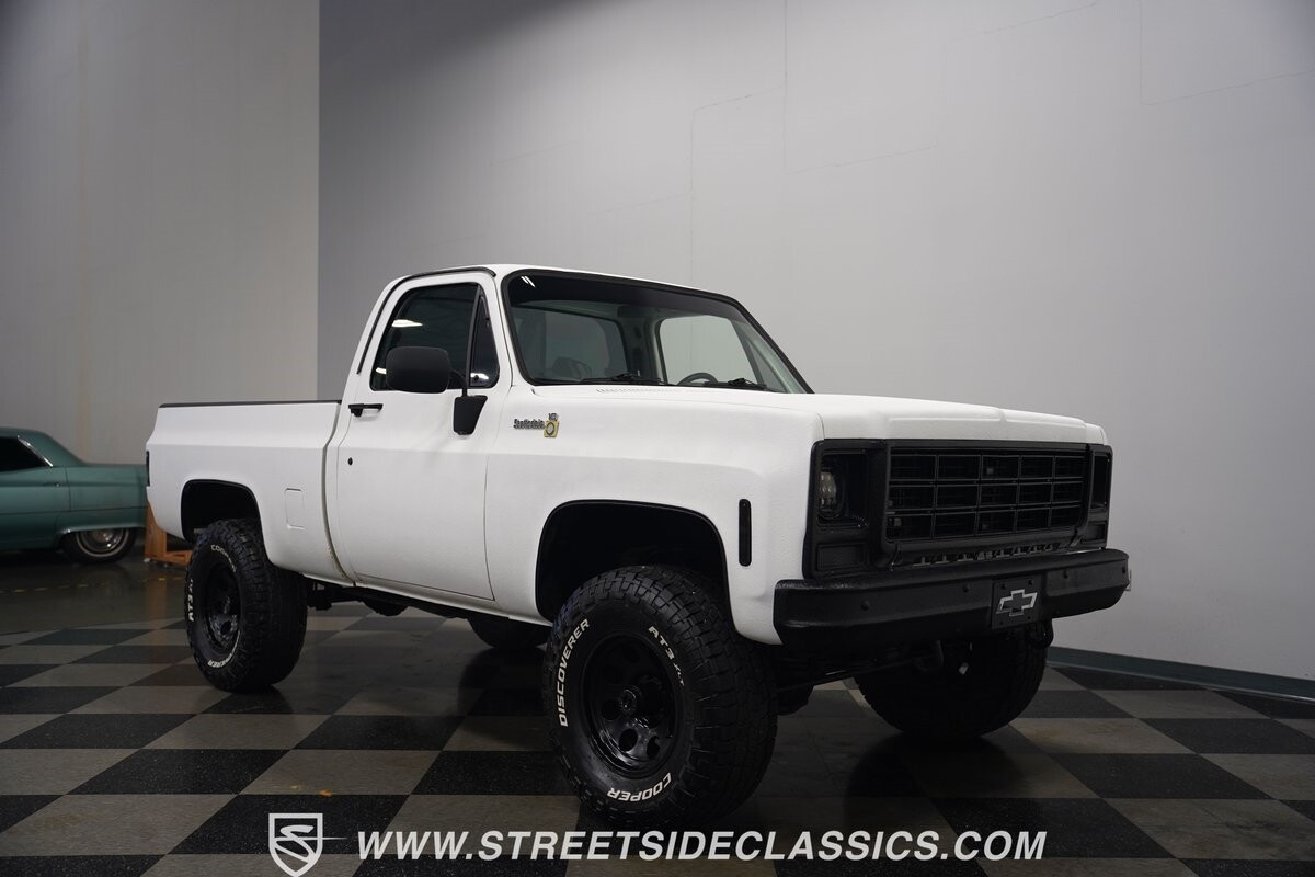 Chevrolet-Other-Pickups-1979-Pickup-Truck-19