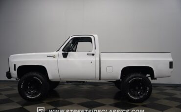 Chevrolet-Other-Pickups-1979-Pickup-Truck-2