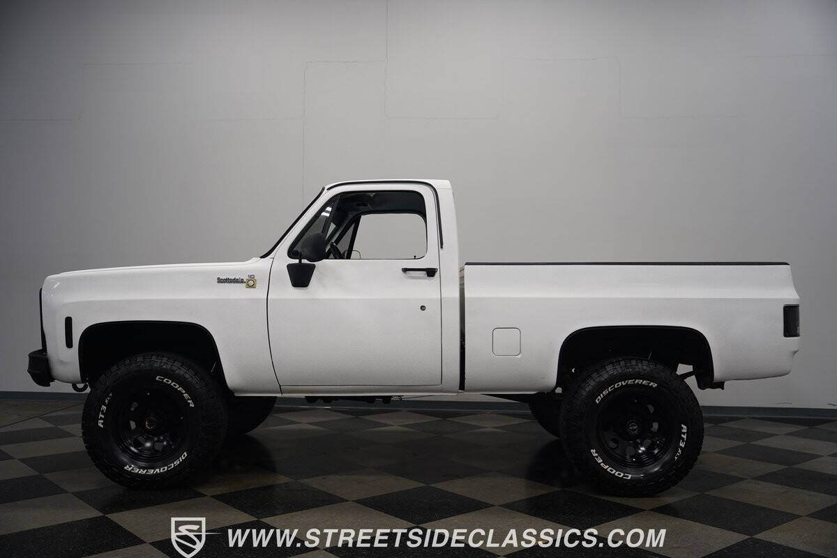 Chevrolet-Other-Pickups-1979-Pickup-Truck-2