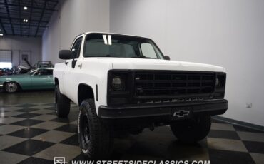 Chevrolet-Other-Pickups-1979-Pickup-Truck-20