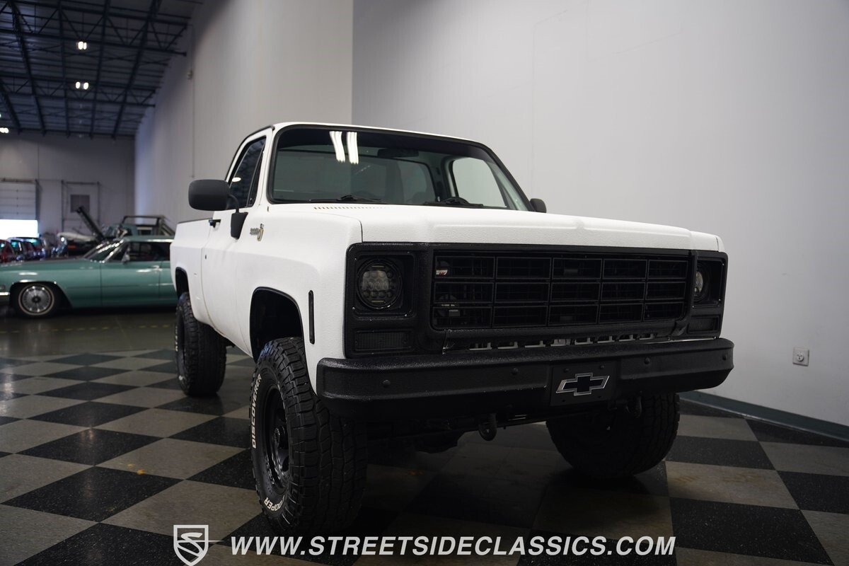 Chevrolet-Other-Pickups-1979-Pickup-Truck-20