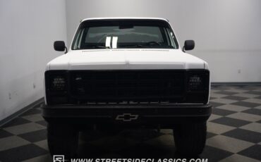 Chevrolet-Other-Pickups-1979-Pickup-Truck-21