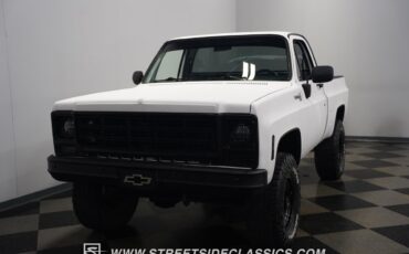 Chevrolet-Other-Pickups-1979-Pickup-Truck-22