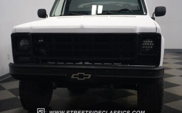 Chevrolet-Other-Pickups-1979-Pickup-Truck-23