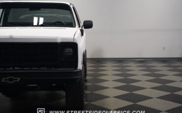 Chevrolet-Other-Pickups-1979-Pickup-Truck-24