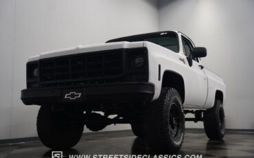 Chevrolet-Other-Pickups-1979-Pickup-Truck-25