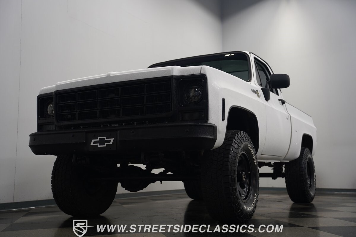 Chevrolet-Other-Pickups-1979-Pickup-Truck-25